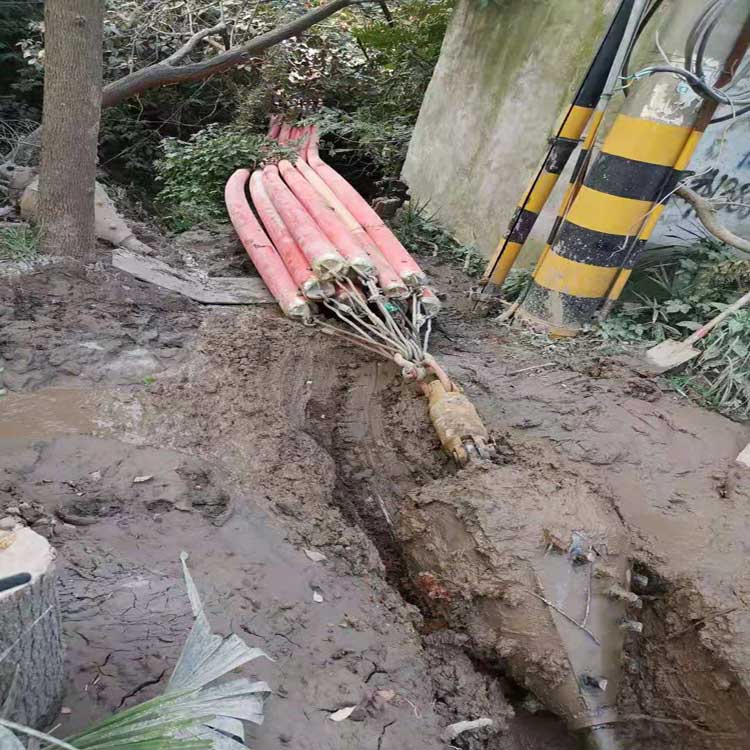 攀枝花武汉焊接涂装线拖拉管